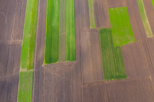 Vista Drone Campos Agrícolas Vazios Primavera — Fotografia de Stock