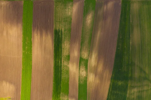 Vue Par Drone Des Champs Agricoles Vides Printemps — Photo