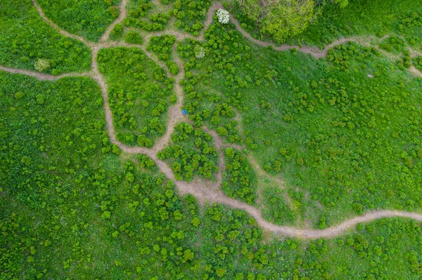 Bela Paisagem Com Peônias Estepe Vistas Drone Lugar Único Europa — Fotografia de Stock