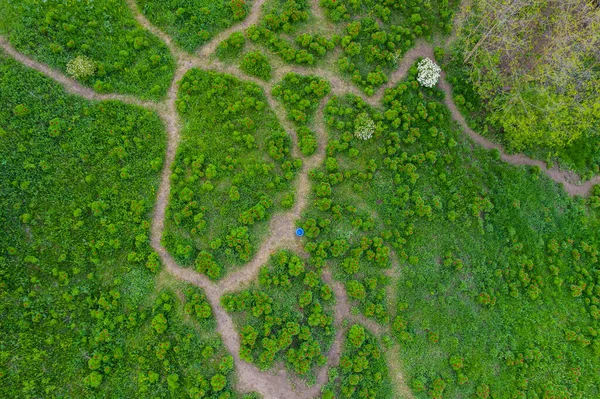 Bellissimo Paesaggio Con Peonie Steppa Viste Drone Luogo Unico Europa — Foto Stock