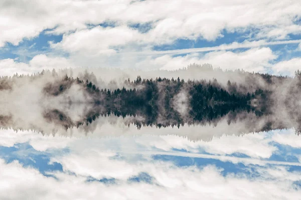 Imagen Abstracta Con Bosque Brumoso Que Parece Ondas Sonoras — Foto de Stock