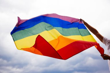 LGBT gay bayrağı rüzgarda dalgalanıyor