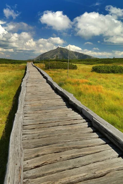 Plank brug met Snezka berg — Stockfoto
