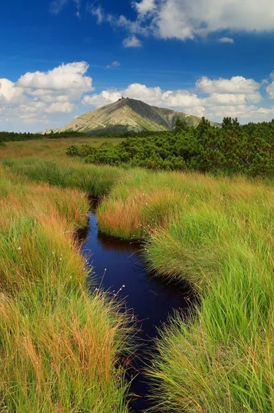 Snezka montanha e turfa pântano — Fotografia de Stock