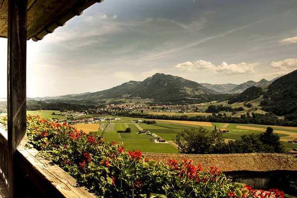 Pohled Hradu Gruyeres Švýcarsku První Rovině Květiny Pozadí Údolí — Stock fotografie