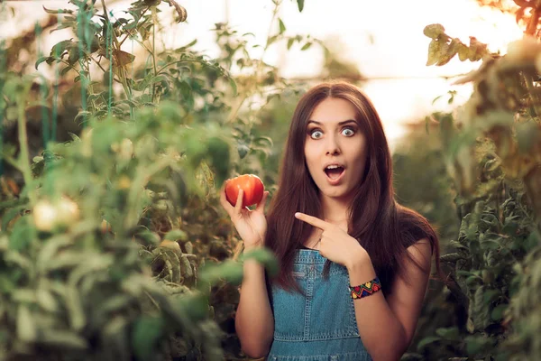 Překvapený farma holka drží rajče uvnitř skleníku — Stock fotografie