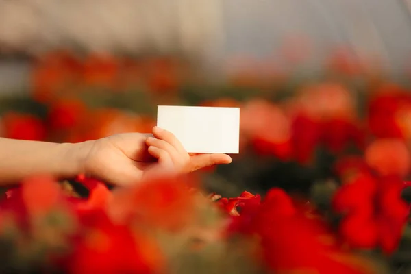 Hand Hält Eine Visitenkarte Zwischen Blumen Einem Gewächshaus — Stockfoto
