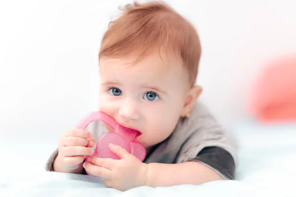 Mignon Bébé Mordre Sur Calmant Dentition Jouet — Photo