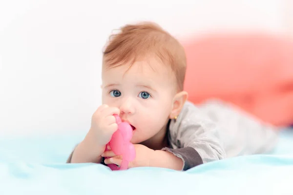 Mignon Bébé Mordre Sur Calmant Dentition Jouet — Photo