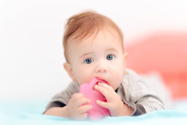 Mignon Bébé Mordre Sur Calmant Dentition Jouet — Photo