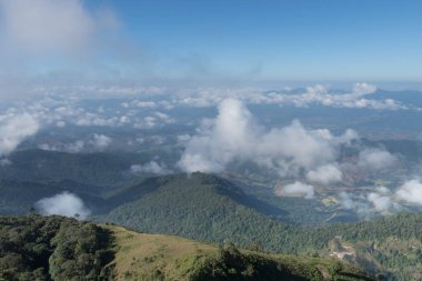 tropikal orman ve dağ manzarası 