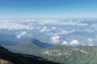 tropikal orman ve dağ manzarası 