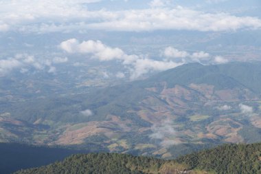 tropikal orman ve dağ manzarası 