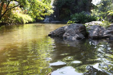 şelale ve su birikintisi bahçe içinde