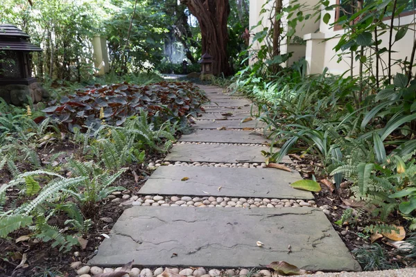 Walkway in garden park — Stock Photo, Image