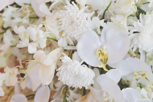 Ramo de flor blanca — Foto de Stock