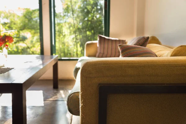Коричневый диван в гостиной рядом с окном — стоковое фото