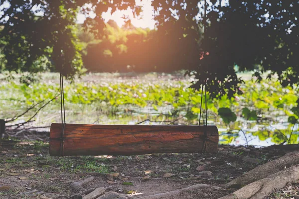 Swing tied to a branch of big tree beside pond — Stock Photo, Image