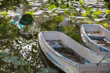 eski beyaz tekne Nilüfer gölet