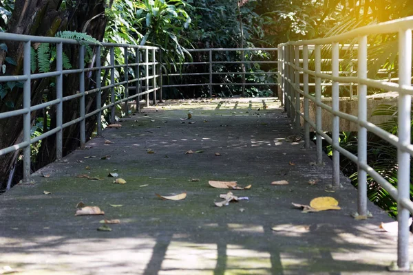 Passerelle surélevée dans le jardin parc — Photo