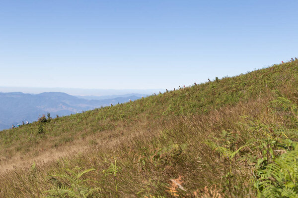 Traveler trekking at Kew Mae Pan Nature Trail (Doi Inthanon Nati
