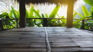 muz ağacı ormanda güneş ışığı ile kulübe içinde arıyorsunuz 