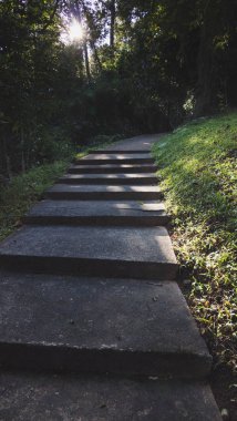 merdiven basamağı Park üzerinde güneş ışığı 