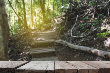 geçit, Kew Mae Pan doğa iz (Doi Inthanon Nati ormandaki