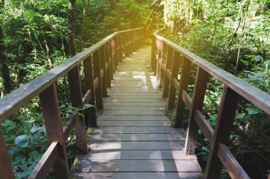 geçit, Kew Mae Pan doğa iz (Doi Inthanon Nati ormandaki