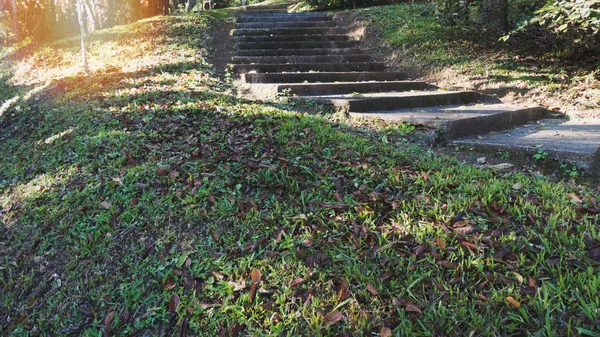 Luz solar de manhã na escada e grama verde no parque — Fotografia de Stock