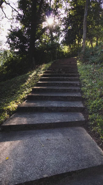 Luz del sol en la escalera paso en el parque — Foto de Stock