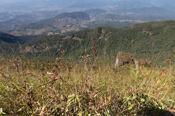 Вид на горы на природной тропе Кью Мэй Пан (Doi Inthanon National — стоковое фото