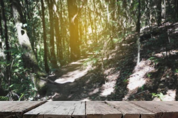 Pasarela en el bosque en Kew Mae Pan Nature Trail (Doi Inthanon Nati — Foto de Stock