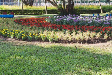 çim ve Bahçe, Bahar çiçek Park flowerbed