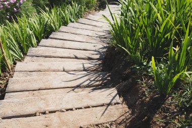 merdiven, merdiven adım ve bush Bahçe