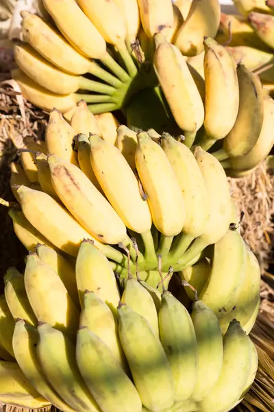 Banda surových a zralé banány — Stock fotografie