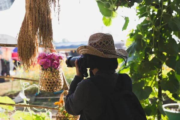 Fotógrafo feminino tirar foto de flor rosa — Fotografia de Stock