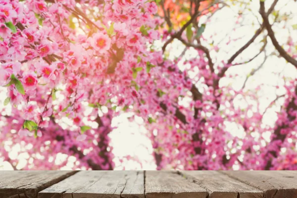 Рожевий Сакура диких Гімалайський Вишня розквітає на гілці (розмиття зображення — стокове фото