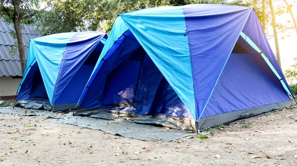 Синий палаточный лагерь в лесу — стоковое фото