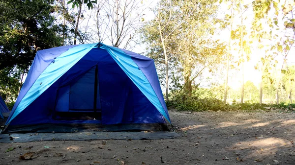 Niebieski namiot camping w lesie — Zdjęcie stockowe