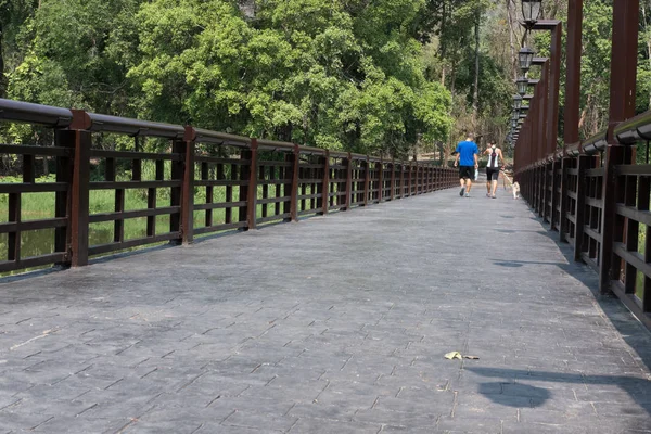 Casal e seu cão andando na ponte em um parque no verão — Fotografia de Stock