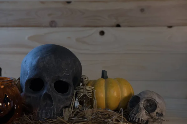 Pumpkin, skull, skeleton on wooden background for Halloween holi — Stock Photo, Image
