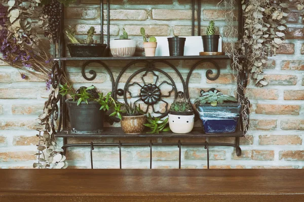 Pot d'arbre décoration sur étagère en acier sur mur de briques avec table en bois — Photo