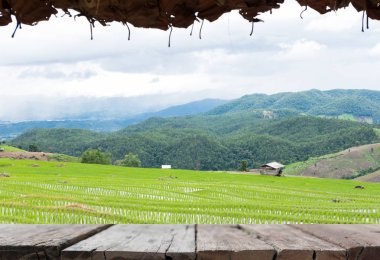 Yeşil pirinç alan dağ Vadisi terasta. güzel doğa