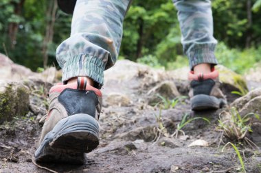 genç kadın ormandan hiking. dağda yürüyüş uzun yürüyüşe çıkan kimse. tr