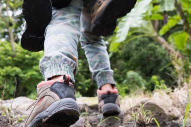 genç kadın ormandan hiking. dağda yürüyüş uzun yürüyüşe çıkan kimse. tr
