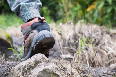 genç kadın ormandan hiking. dağda yürüyüş uzun yürüyüşe çıkan kimse. tr
