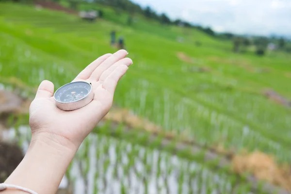 Kompas in de hand met rijst veld op terras natuur achtergrond — Stockfoto