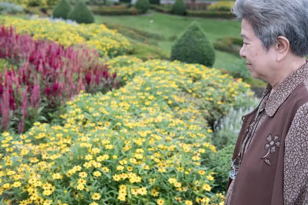 Mujer mayor asiática de pie en el jardín. anciano mayor reposo femenino — Foto de Stock