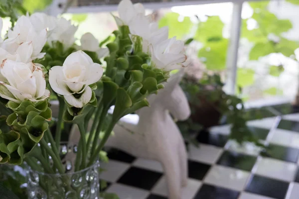 Biały kwiat tulip siam w wazonie na stole w pobliżu okna. Dekoracja — Zdjęcie stockowe